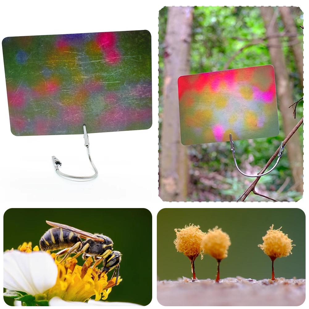 Macro Photography Background C - Photography Lighting Material บทวิจารณ์และราคา