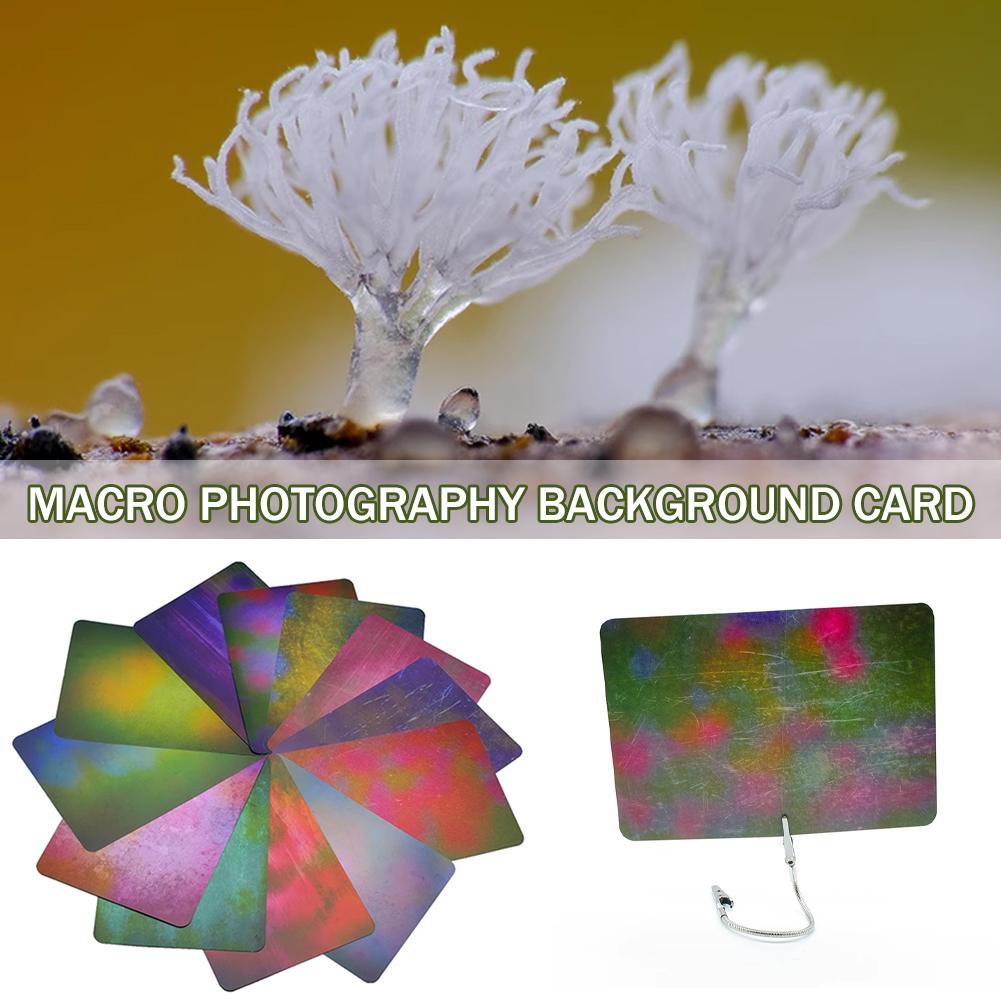 Macro Photography Background C - Photography Lighting Material บทวิจารณ์และราคา