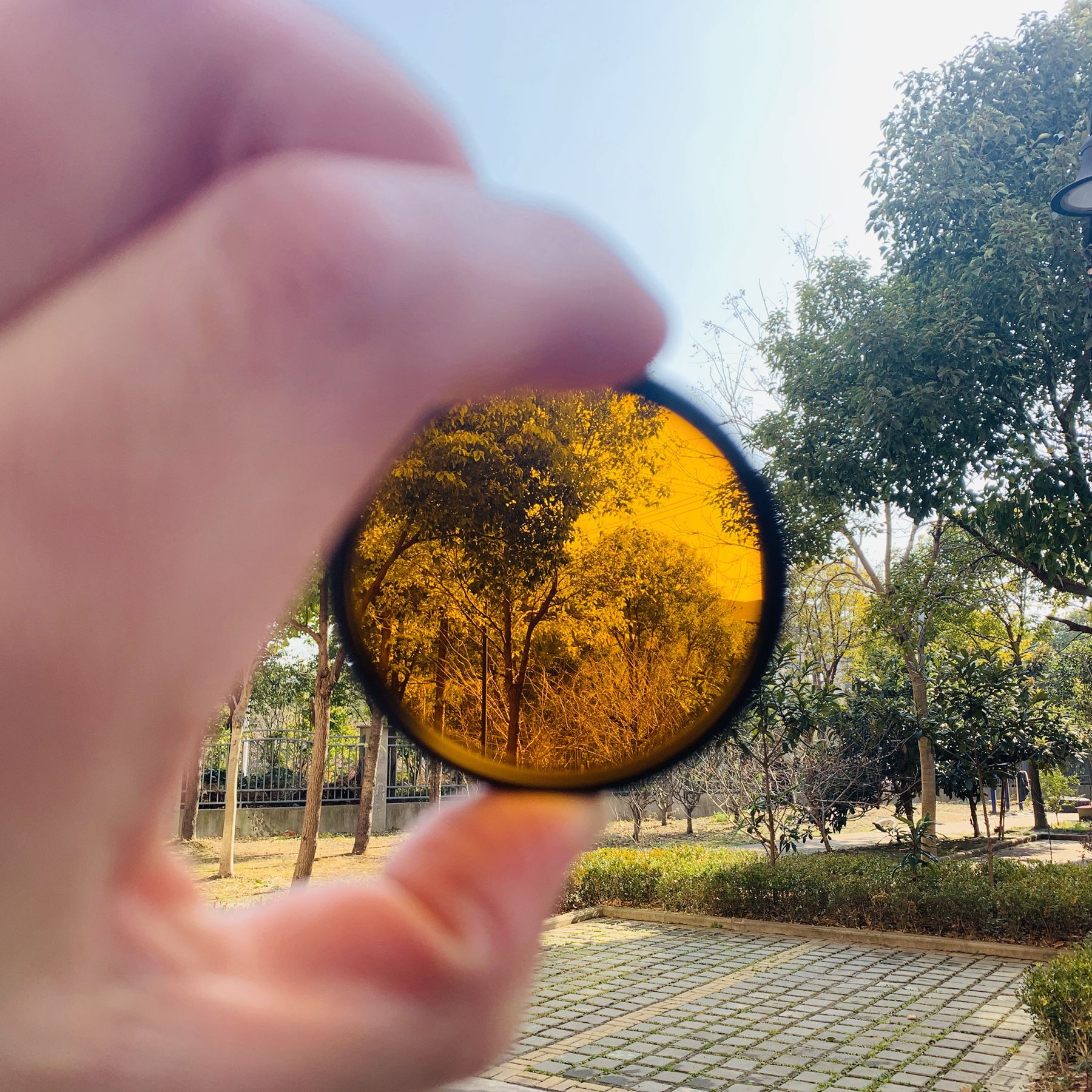 550nm IR Infrared Long Pass Fi - Lighting Glass Photography บทวิจารณ์และราคา