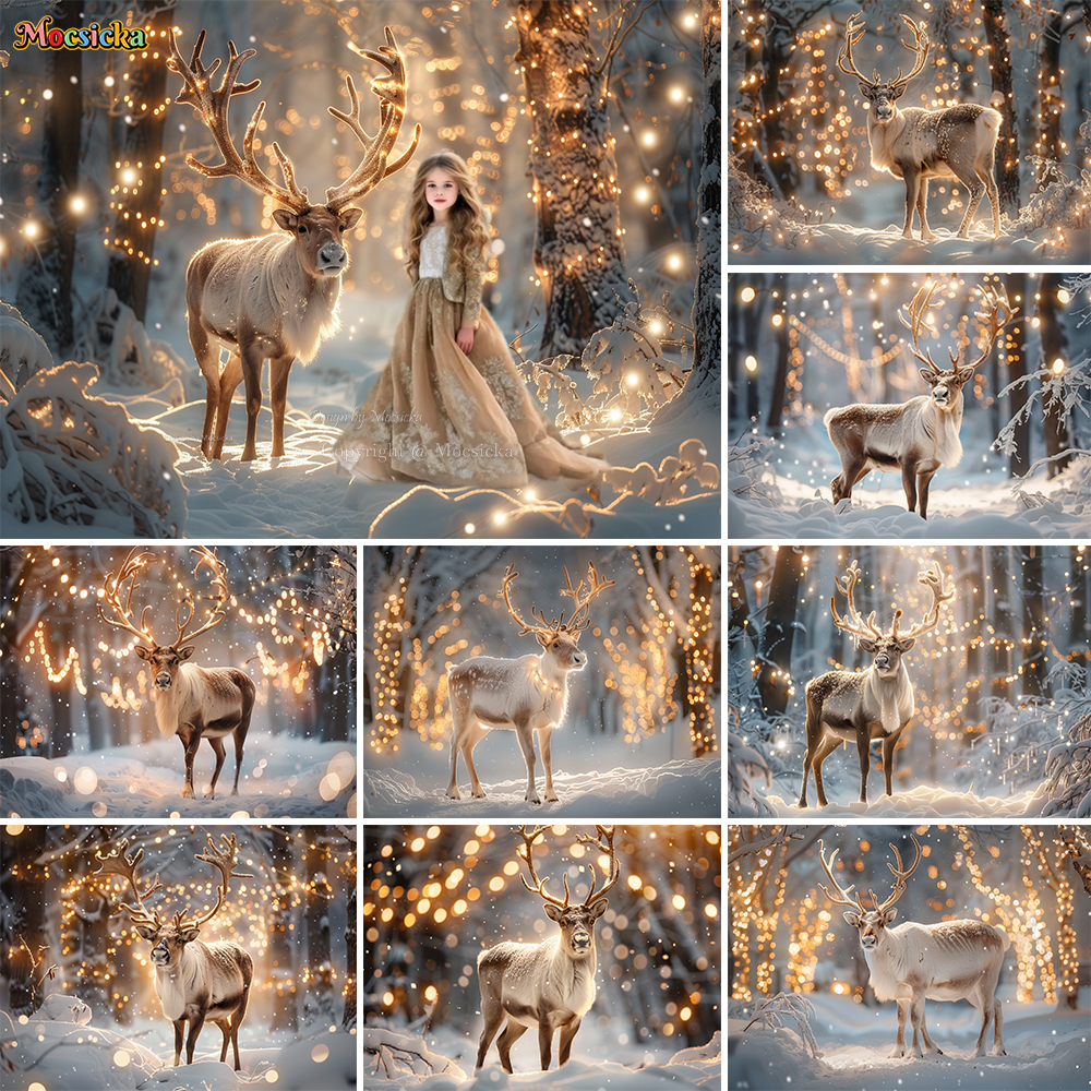 Winter Snow Scenes Photography - Photography Natural Lighting บทวิจารณ์และราคา