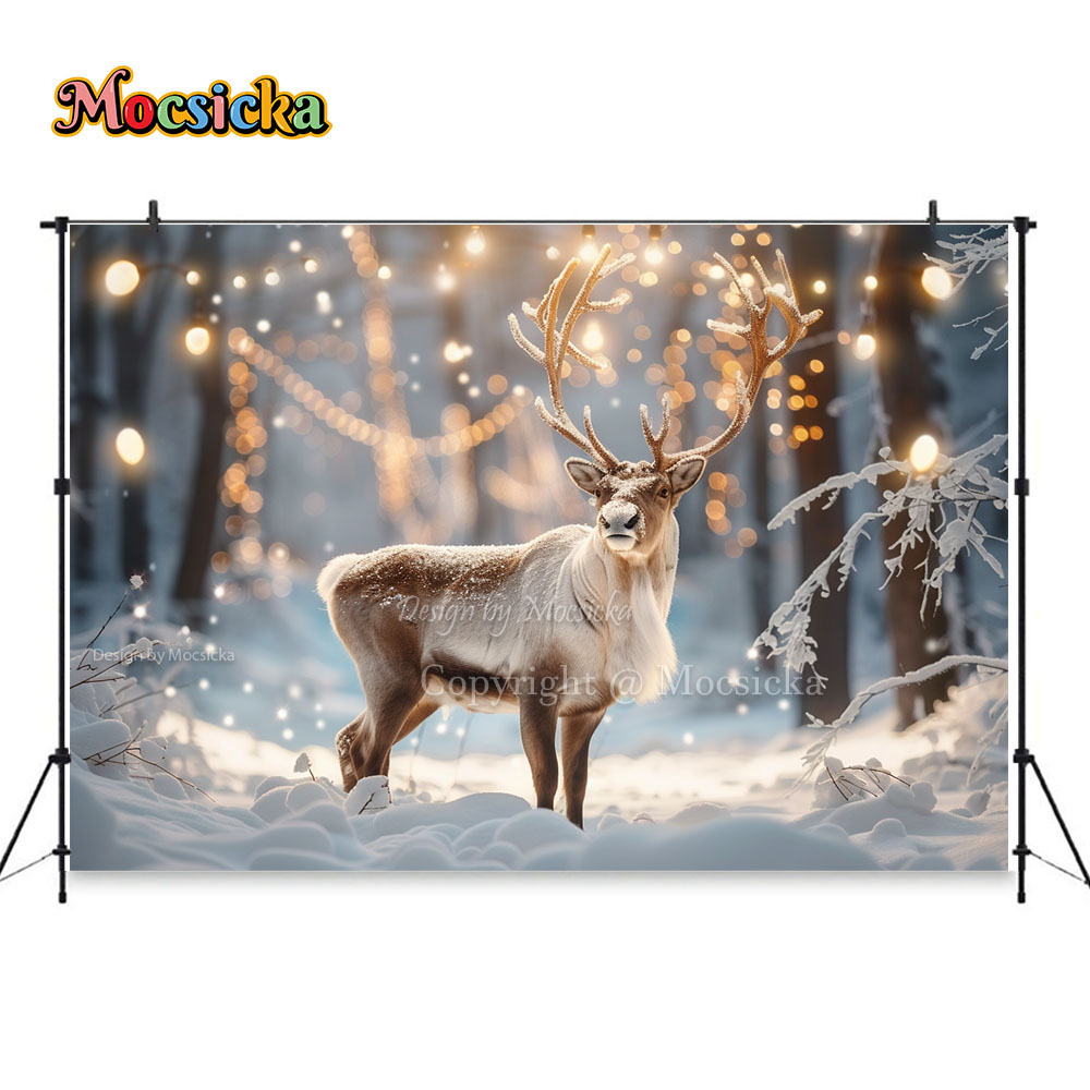 Winter Snow Scenes Photography - Photography Natural Lighting บทวิจารณ์และราคา
