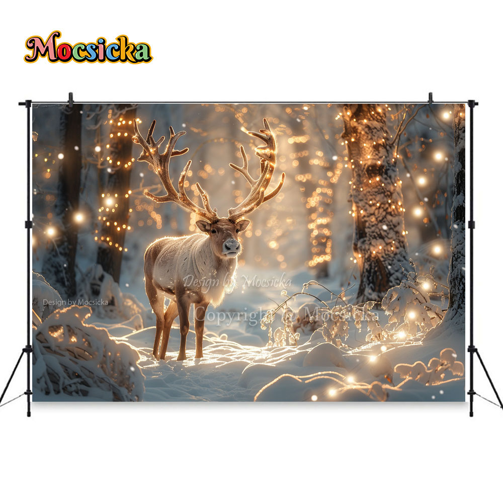 Winter Snow Scenes Photography - Photography Natural Lighting บทวิจารณ์และราคา