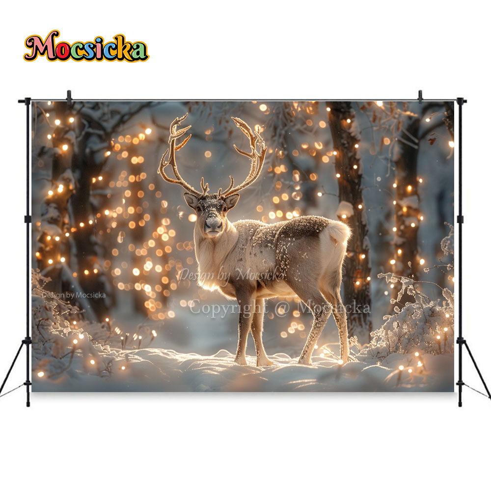 Winter Snow Scenes Photography - Photography Natural Lighting บทวิจารณ์และราคา