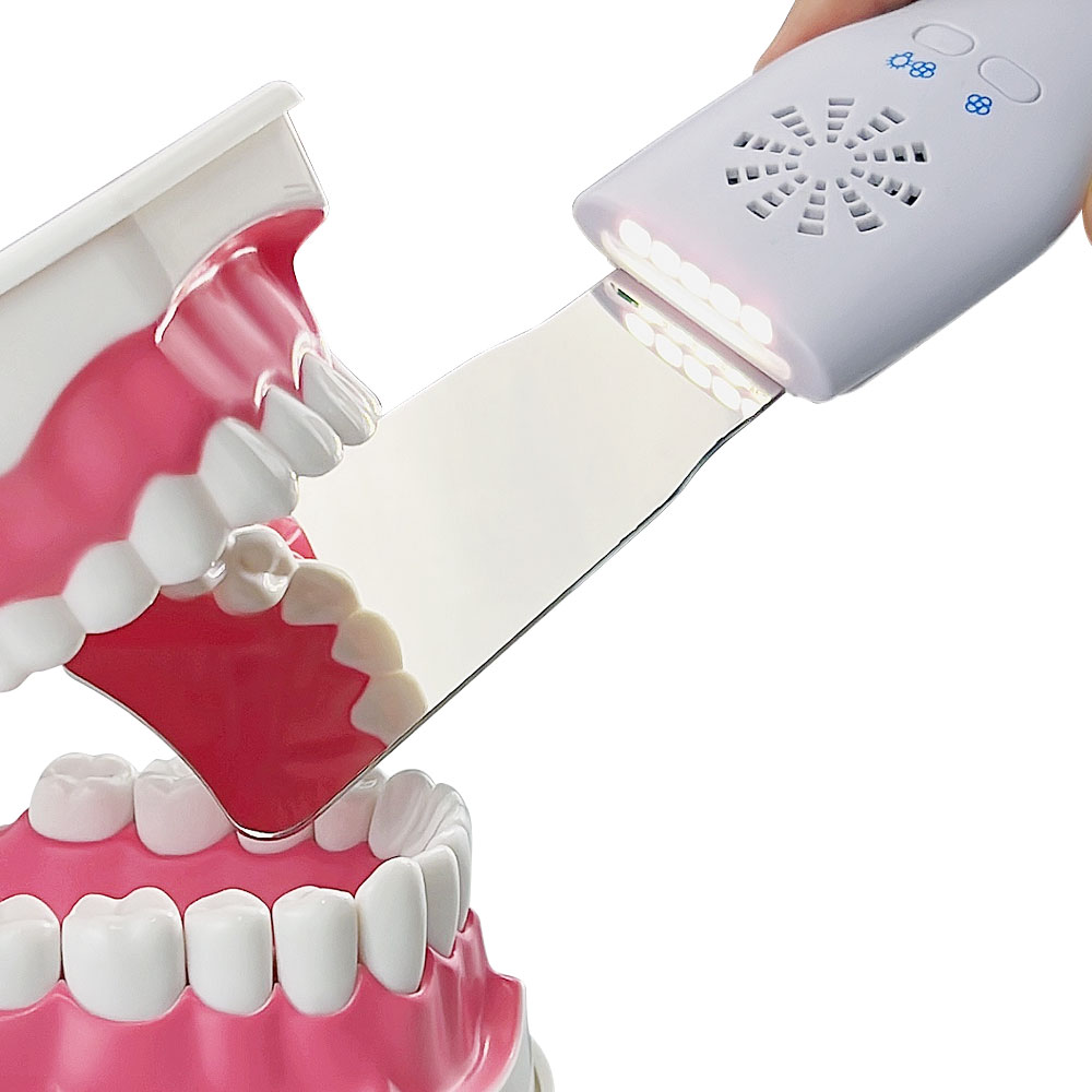Dental Photography Mirror Auto - Lighting Glass Photography บทวิจารณ์และราคา