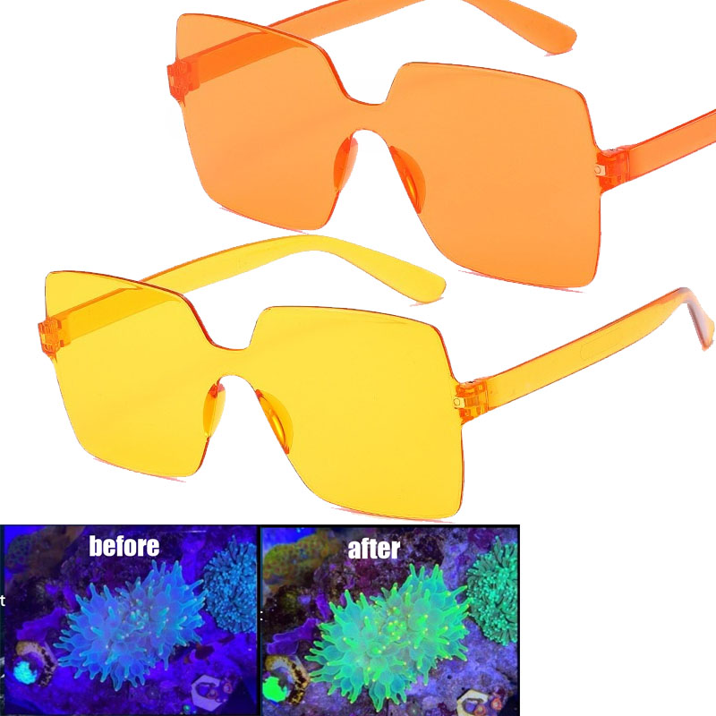 Coral Observation Glasses Cora - Photography Natural Lighting บทวิจารณ์และราคา