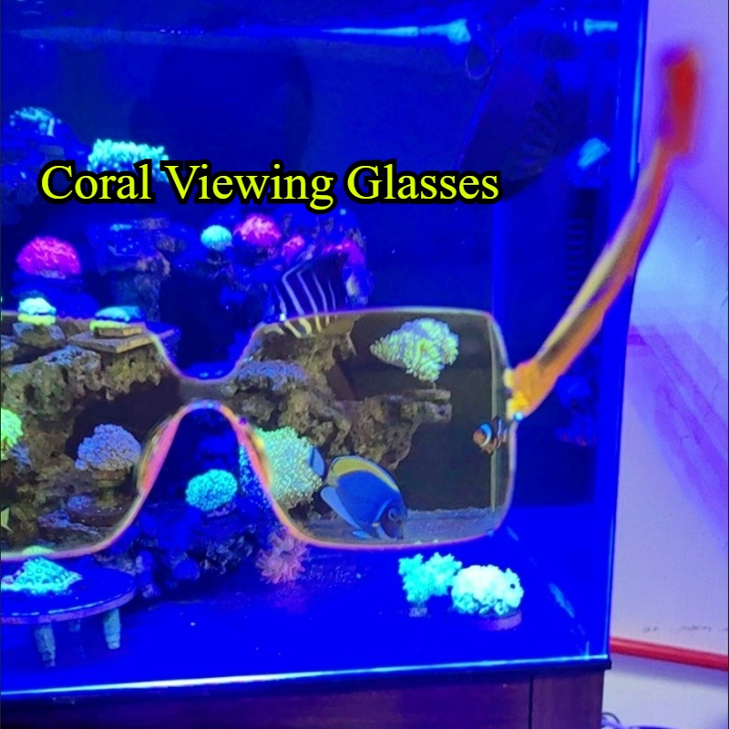 Coral Observation Glasses Cora - Photography Natural Lighting บทวิจารณ์และราคา