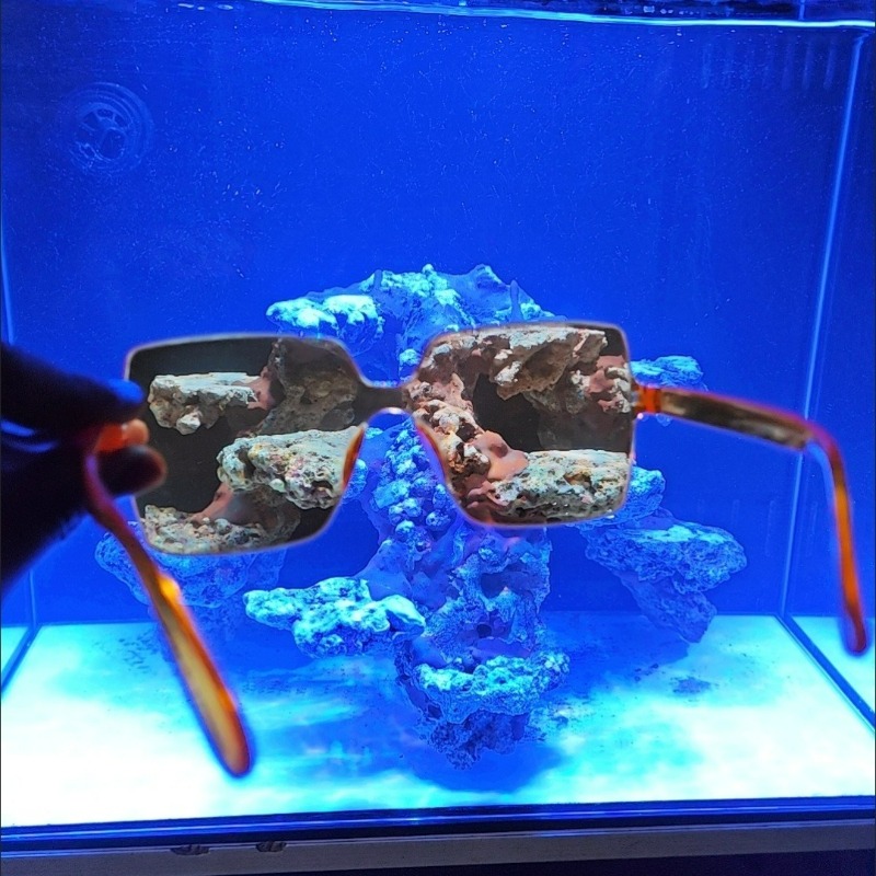 Coral Observation Glasses Cora - Photography Natural Lighting บทวิจารณ์และราคา