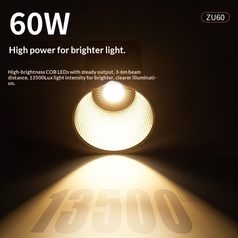 60W Mini COB LED Video Light P - Photography And Videography Lighting บทวิจารณ์และราคา